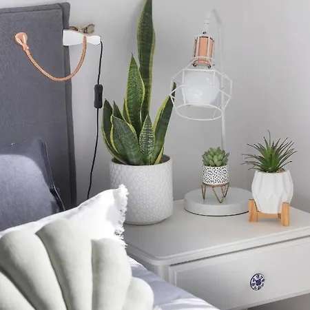 公寓 Cozy Gieysztora Wilanow By Renters *